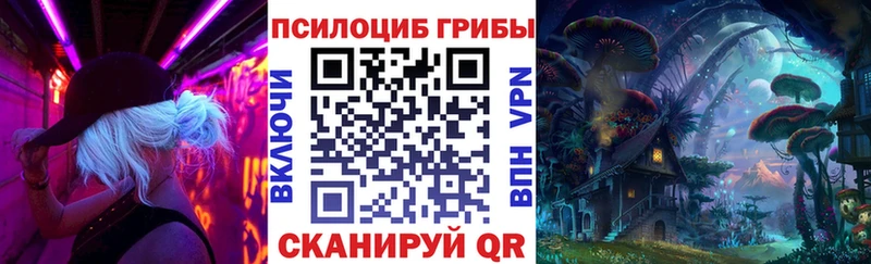 Галлюциногенные грибы Psilocybine cubensis  купить закладку  Циолковский 