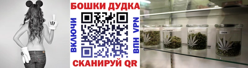 Канабис тримм  закладка  Циолковский 